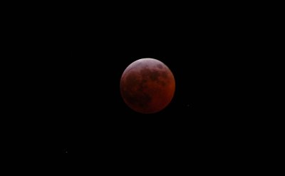 DSC_8856.jpg