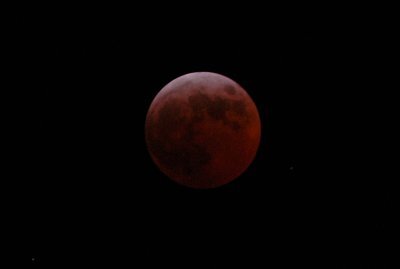 DSC_8864.jpg