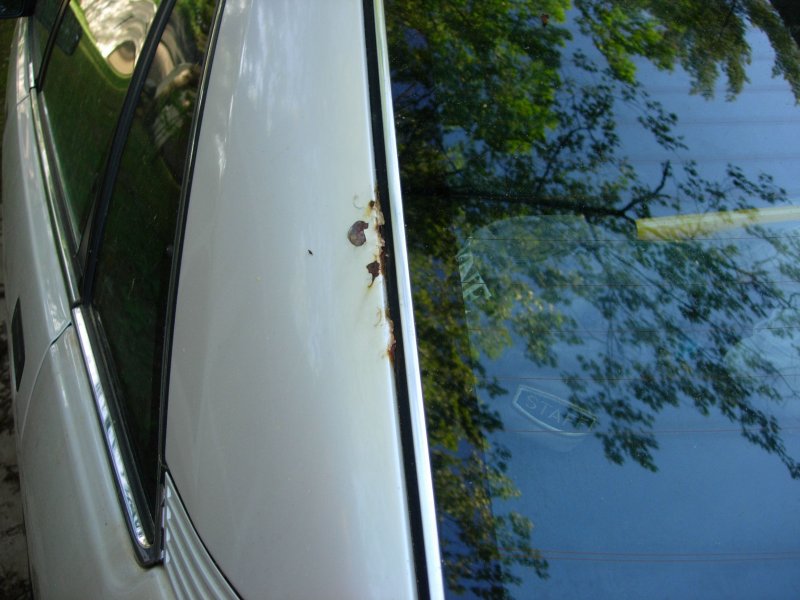 Paint Peel Rear Window.jpg