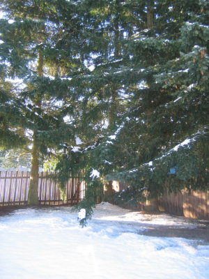 november_2006