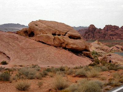 07 88004526.jpg