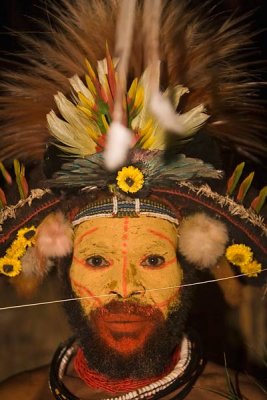 New Guinea and New Zealand Birds