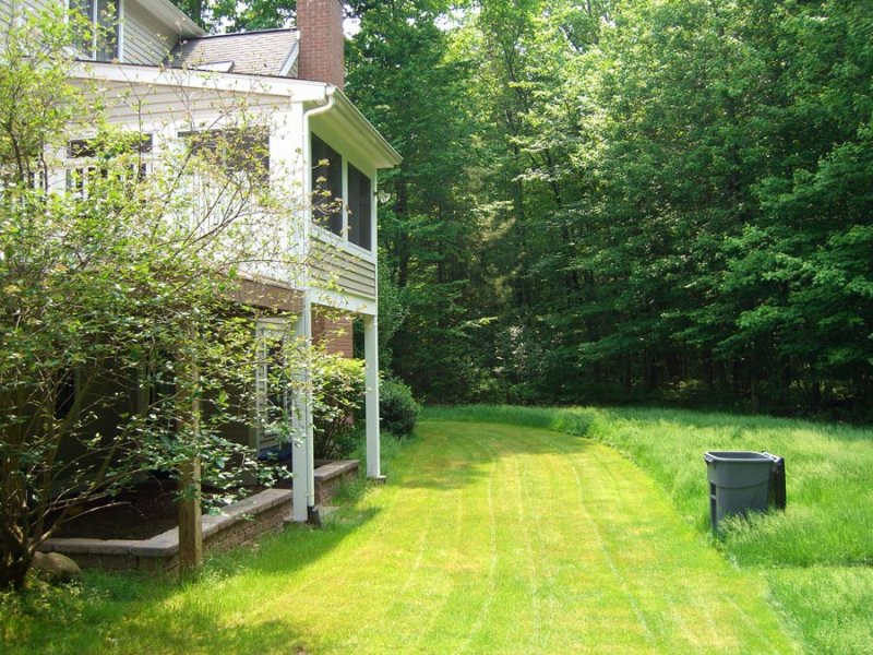 backyard_mow.jpg