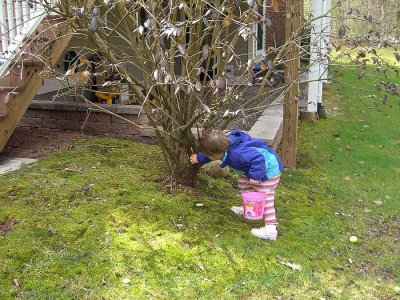 ellie_egg_tree.jpg