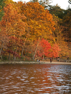 Walden Pond