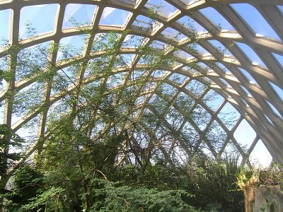 Inside the Tropical Conservatory