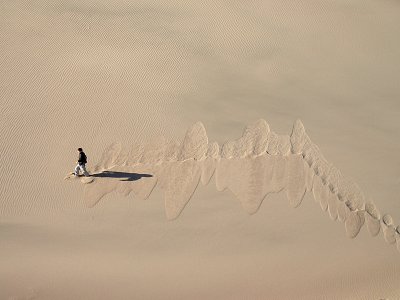 Dune Tracks