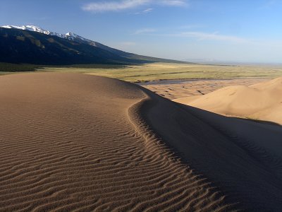 Dune Waves