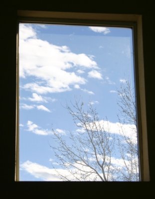 Window