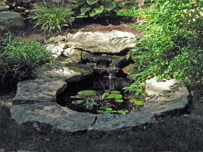 Backyard water feature