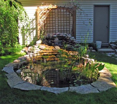 backyard Pond