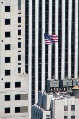 US Flag standing tall