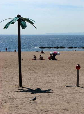 A bit of Miami at Coney Island