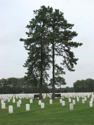 Veteran's Cemetary
