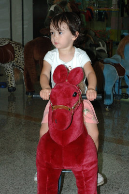 On Zhuge Horse