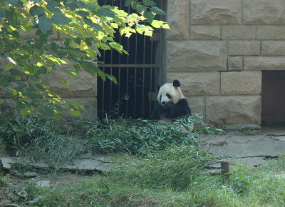 Beijing Zoo