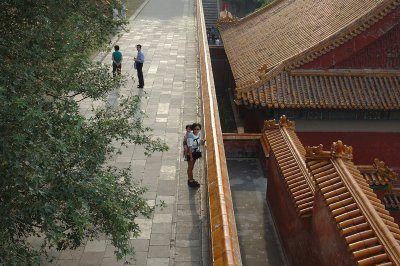 DSC_9233_s.jpg