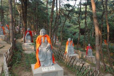 More Luohans