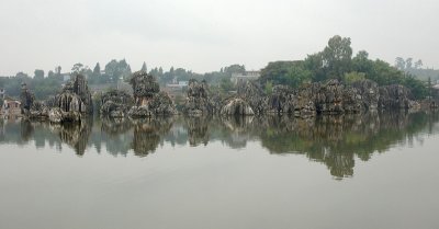 Stone Forest