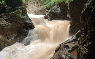 Rapids