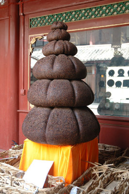 Can you guess what this is?