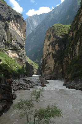 DSC_9605_s.jpg