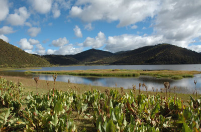 Shangrila National Park