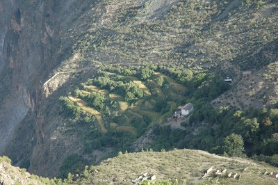 Terraces