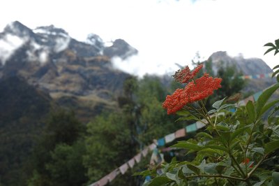 DSC_9826.jpg
