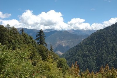 DSC_9840.jpg