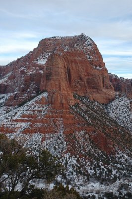 Kolob Terrace?