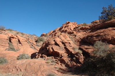 DSC_0626.jpg