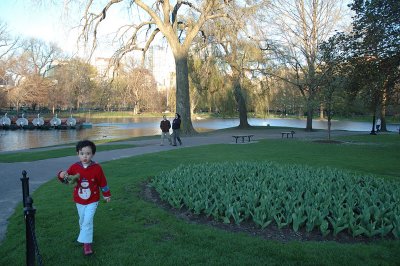 Public Garden at Dusk