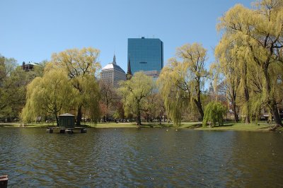 Public Garden in the Morning