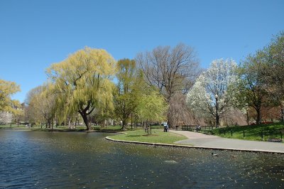 Spring