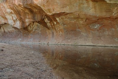 DSC_1960.jpg