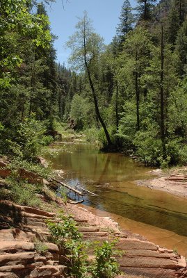 Peaceful Creek
