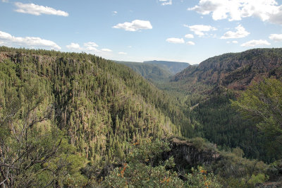 Oak Creek Vista