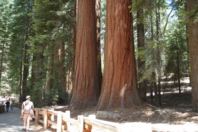 General Sherman Trail