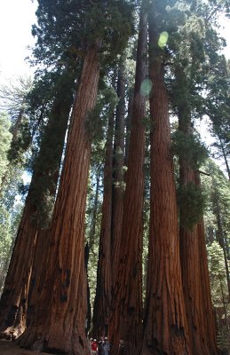 A Group of Giants