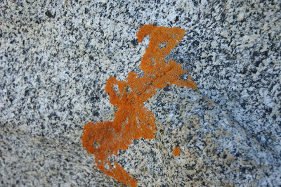 DSC_2688.jpg