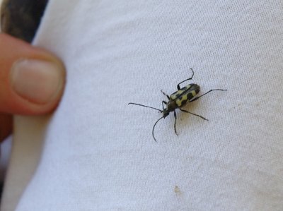 Unknown Bug