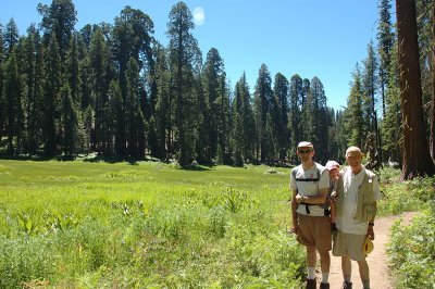 Along Crescent Meadow Trail