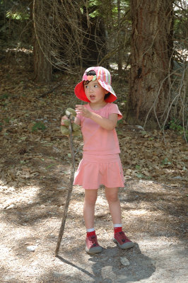 Little Hiker