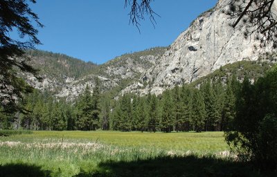 Zumwalt Meadow