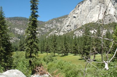More of the Meadow