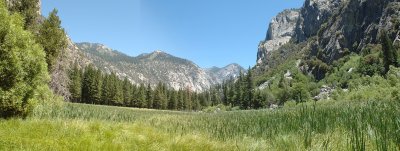 Panaroma of Zumwalt Meadow