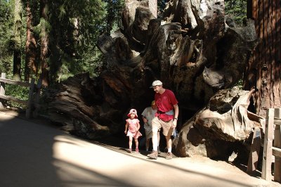 Look who are coming out of the Tunnel Log?