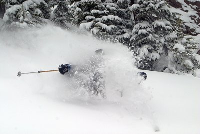 Free Ride (Powder Shots)