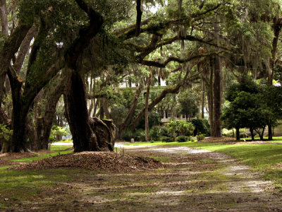 Wormsloe Plantation